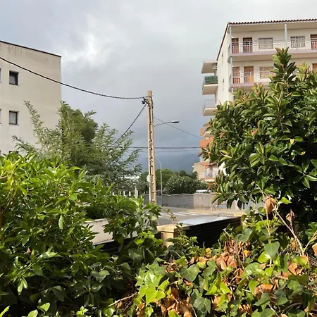 Apartment Acacia